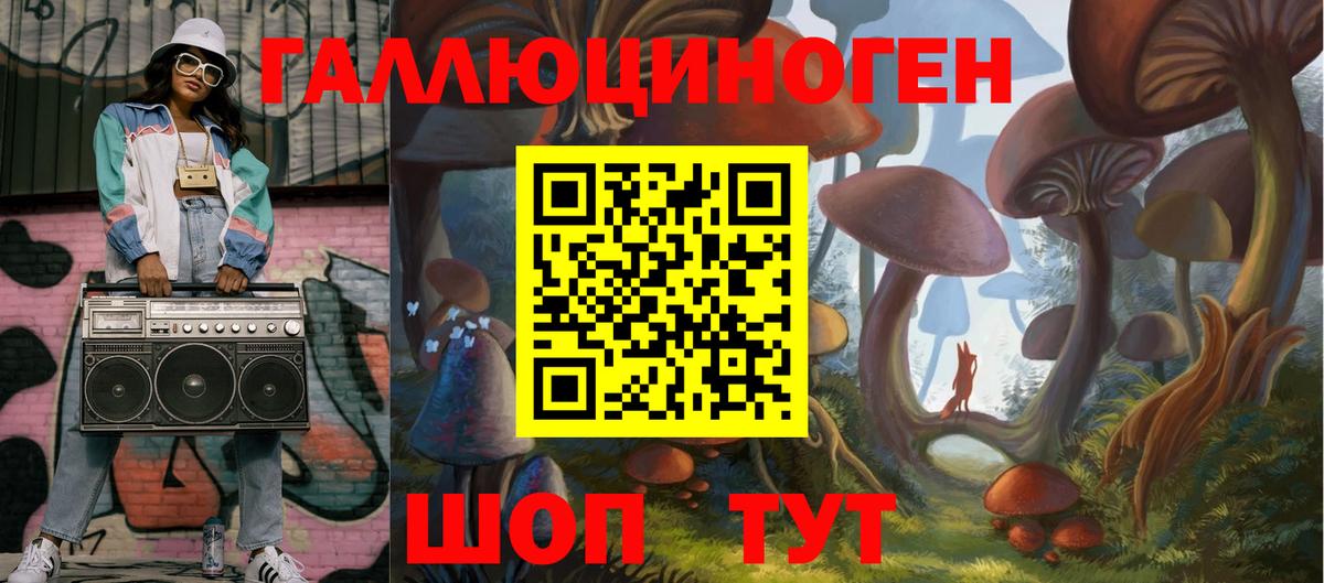 Сыктывкар  Псилоцибиновые грибы прущие грибы  Вход с VPN 