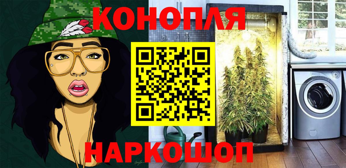 Канабис SATIVA & INDICA  Вход с VPN  Каннабис LSD WEED  Бошки Шишки сатива  Каннабис план  Сыктывкар 